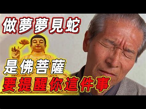 看到蛇的徵兆|【常常看到蛇】常常看到蛇？揭秘常見的吉凶預兆！